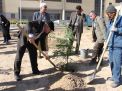 گزارش تصویری مراسم روز درخت کاری و تقدیر از نیروهای باغبانی دانشگاه